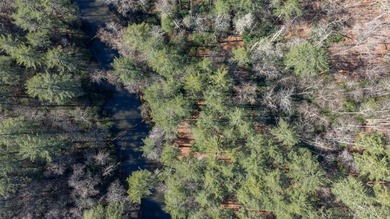 If you have ever wanted to own your own private river front lot - photo 8