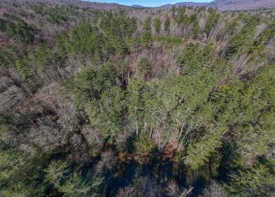 If you have ever wanted to own your own private river front lot - photo 9