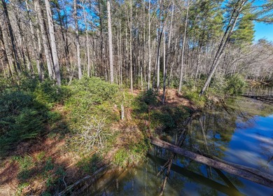 If you have ever wanted to own your own private river front lot - photo 10