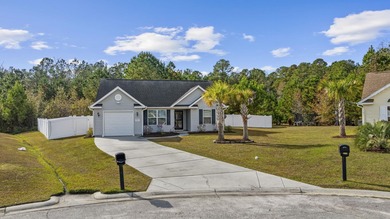 Intracoastal Waterway - Horry County Home Sale Pending in Myrtle Beach South Carolina