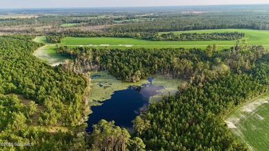 Introducing a premier, all-season hunting and potential - photo 11