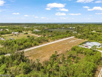 Need room to spread out! Cleared 1/2 acre lot with two adjacent - photo 12