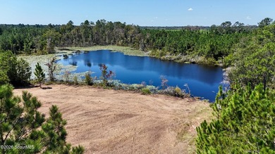 Introducing a premier, all-season hunting and potential - photo 19