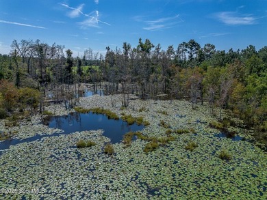 Introducing a premier, all-season hunting and potential - photo 24