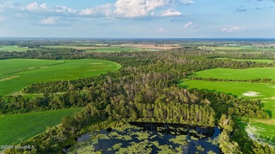 Introducing a premier, all-season hunting and potential - photo 32