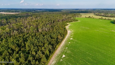 Introducing a premier, all-season hunting and potential - photo 33