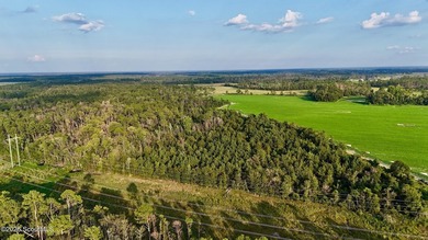 Introducing a premier, all-season hunting and potential - photo 34