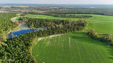 Introducing a premier, all-season hunting and potential - photo 35