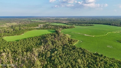 Introducing a premier, all-season hunting and potential - photo 36