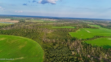 Introducing a premier, all-season hunting and potential - photo 37