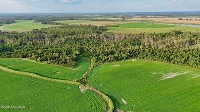 Introducing a premier, all-season hunting and potential - photo 38