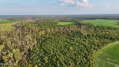 Introducing a premier, all-season hunting and potential - photo 39