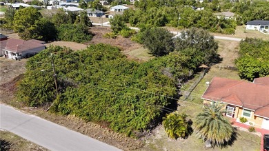 Lehigh Acres Area Lot For Sale in Lehigh Acres Florida