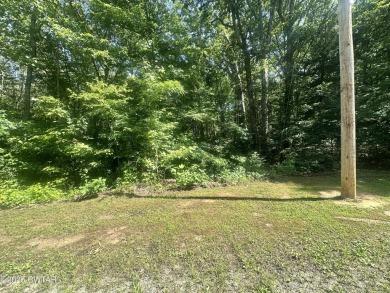 Lake Acreage For Sale in Cedar Grove, Tennessee
