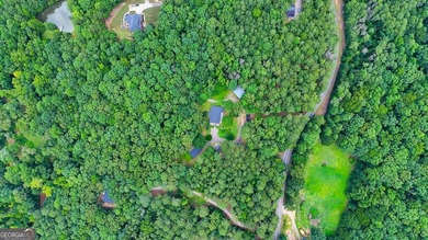 (private lake, pond, coastal) Acreage For Sale in Winston Georgia