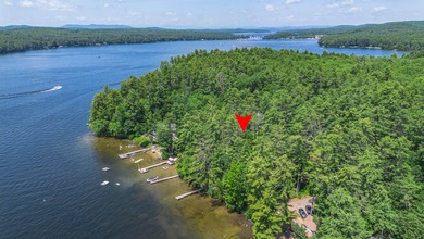 This remarkable LC Andrews Maine Cedar Log Home sits in the most - photo 29