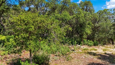 Welcome to your opportunity to build a Canyon Lake retreat - photo 9