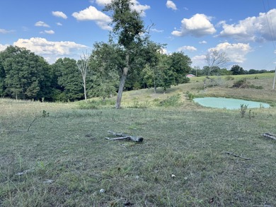 (private lake, pond, creek) Acreage For Sale in Ozark Missouri