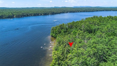This remarkable LC Andrews Maine Cedar Log Home sits in the most - photo 33