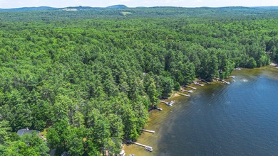 This remarkable LC Andrews Maine Cedar Log Home sits in the most - photo 38