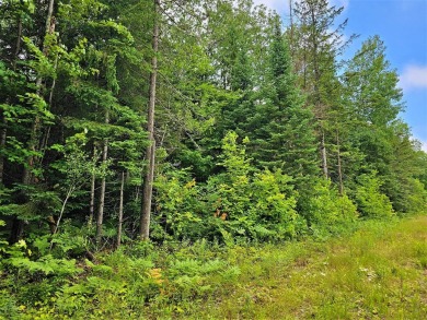 Island Lake - Iron County Lot Sale Pending in Knight Wisconsin
