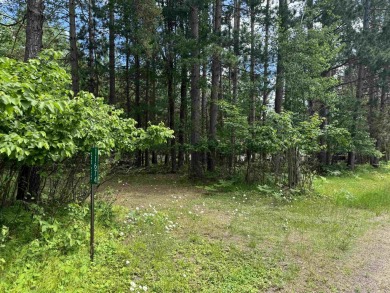 Safford Lake Lot For Sale in Woodruff Wisconsin