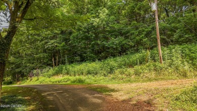 Lake Lot For Sale in Savannah, Tennessee