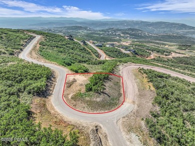 A private mountain retreat waiting to be constructed with - photo 7