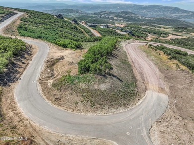 A private mountain retreat waiting to be constructed with - photo 9