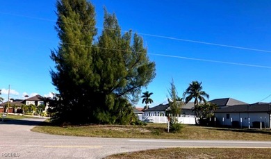 LOCATION! Corner lot near Sirenia Vista Park and across from the - photo 3