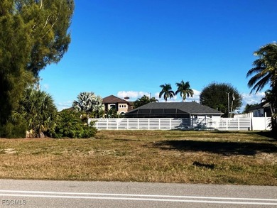 LOCATION! Corner lot near Sirenia Vista Park and across from the - photo 6