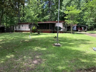 Lake Home For Sale in Hemphill, Texas