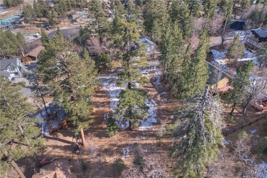 Pre-sale new construction in The Pines, Big Bear Lake's premier - photo 7