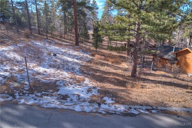 Pre-sale new construction in The Pines, Big Bear Lake's premier - photo 9