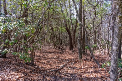 Lake Toxaway Lot For Sale in Lake Toxaway North Carolina