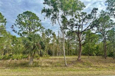 Lake Lot For Sale in Punta Gorda, Florida