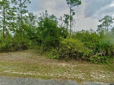 Lehigh Acres Area Lot For Sale in Lehigh Acres Florida