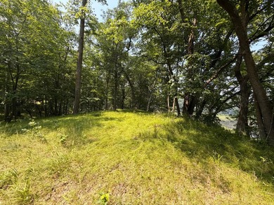 Privacy and lake views await you on this beautiful 1+ acre - photo 2