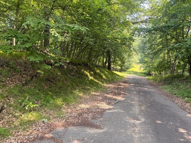 Privacy and lake views await you on this beautiful 1+ acre - photo 4
