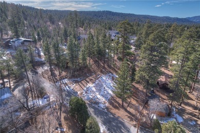 Pre-sale new construction in The Pines, Big Bear Lake's premier - photo 7