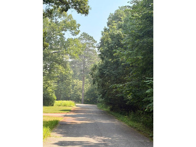 Privacy and lake views await you on this beautiful 1+ acre - photo 7