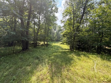 Privacy and lake views await you on this beautiful 1+ acre - photo 8