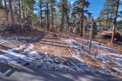 Pre-sale new construction in The Pines, Big Bear Lake's premier - photo 9