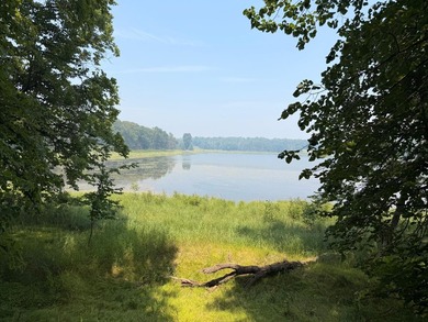 Privacy and lake views await you on this beautiful 1+ acre - photo 9