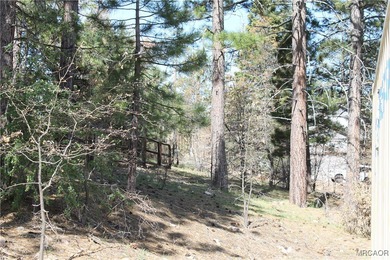 Pre-sale new construction in The Pines, Big Bear Lake's premier - photo 10