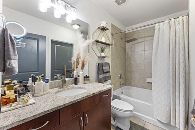 Stunning renovated 1 bed / 1 bath condo in Twelve Centennial