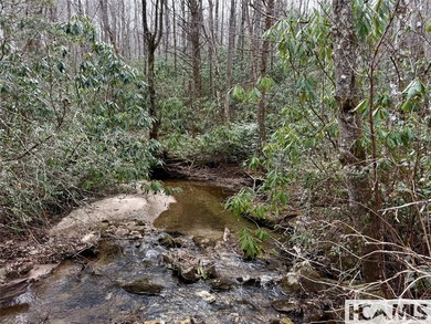 Tucked within a serene, beautifully wooded cul-de-sac, this - photo 3