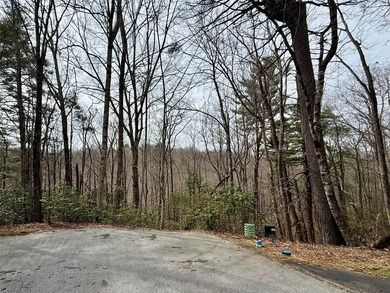 Tucked within a serene, beautifully wooded cul-de-sac, this - photo 8