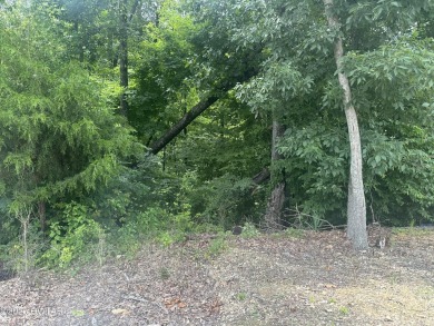 Lake Lot For Sale in Sugar Tree, Tennessee