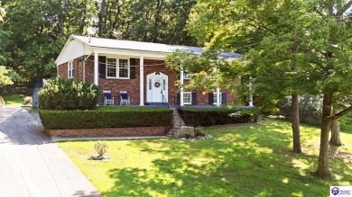 Lake Home For Sale in Brandenburg, Kentucky